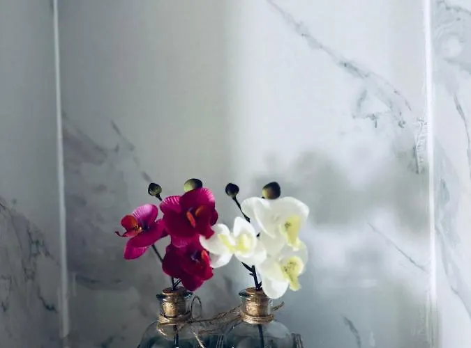 Silver House Pierrefitte-sur-Seine